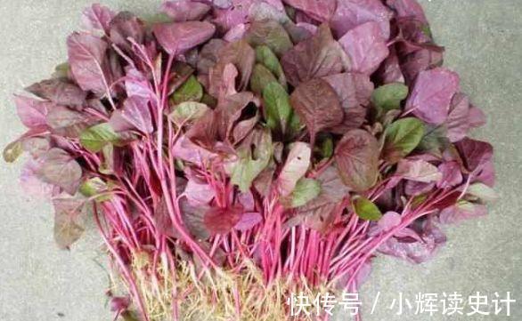 山楂|聪明人爱吃三种食物,补充营养,排毒养颜,早吃早健康!