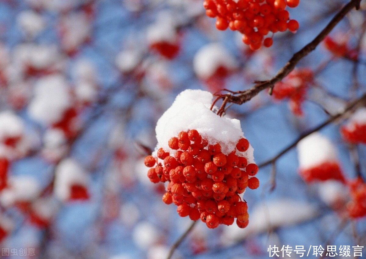  慵懒|白居易《夜雪》，寒夜雪飘，慵懒无心，勾不起一点想象