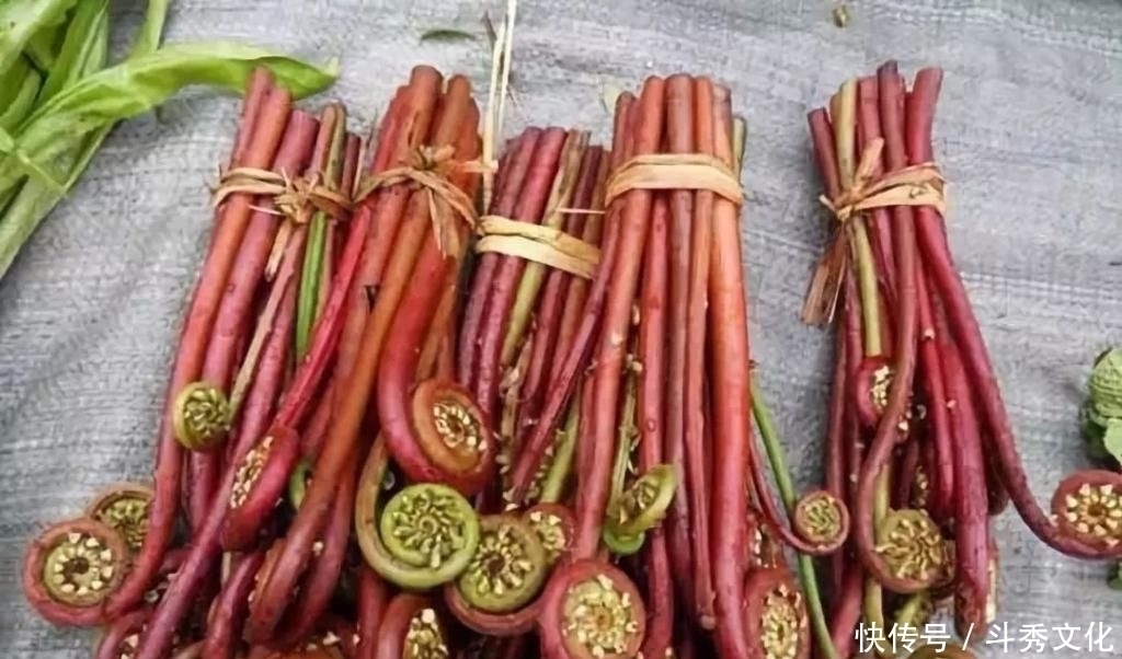 扁豆|卫生部通知马上停止吃这3种菜,己被列入“黑名单”,千万要注意