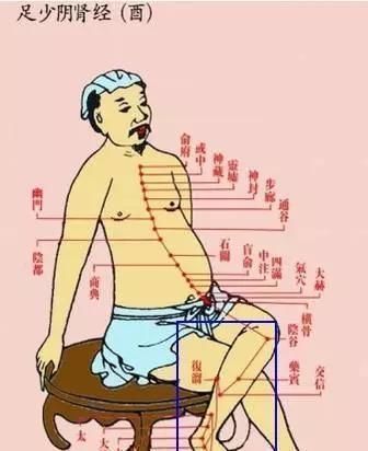 每个人的小腿内侧,都隐藏着一个“秘密”