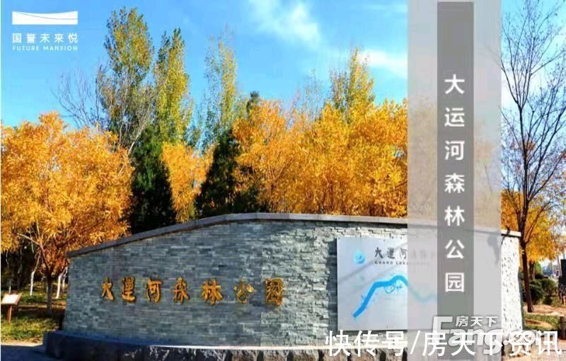 楼盘|国誉未来悦新拍现场图片，实时了解楼盘新动态