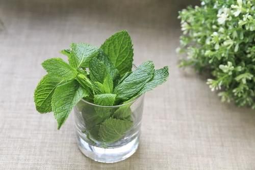 按摩|夏季失眠睡不好,试试这几招穴位按摩