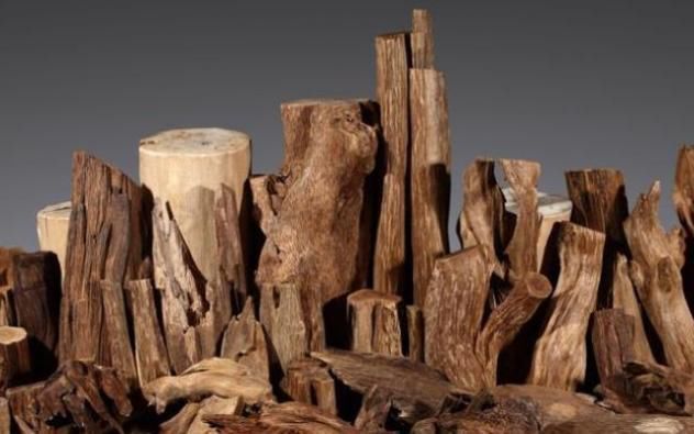 有一味中药即可收藏又可车珠子,还能通畅肠胃,祛脾胃寒气,暖肾