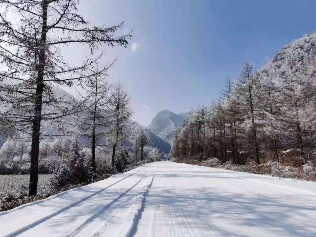  银装|“大雪”到，听《雪落六盘山》，赏银装美景