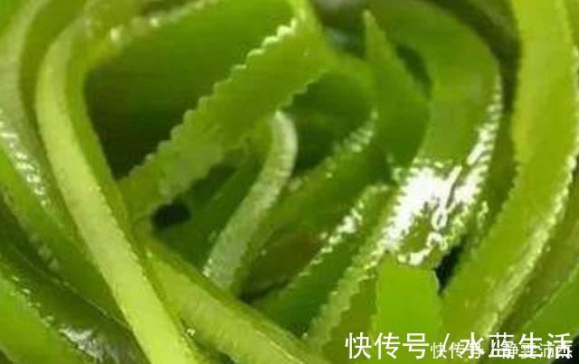 子宫|子宫肌瘤的“死对头”,女人早晚常吃,或助你活血化瘀消肌瘤