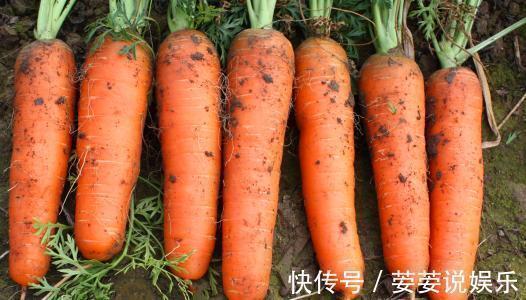 夜盲证|每天坚持吃胡萝卜,连吃半个月,3个好处不请自来,谁吃谁捡到宝