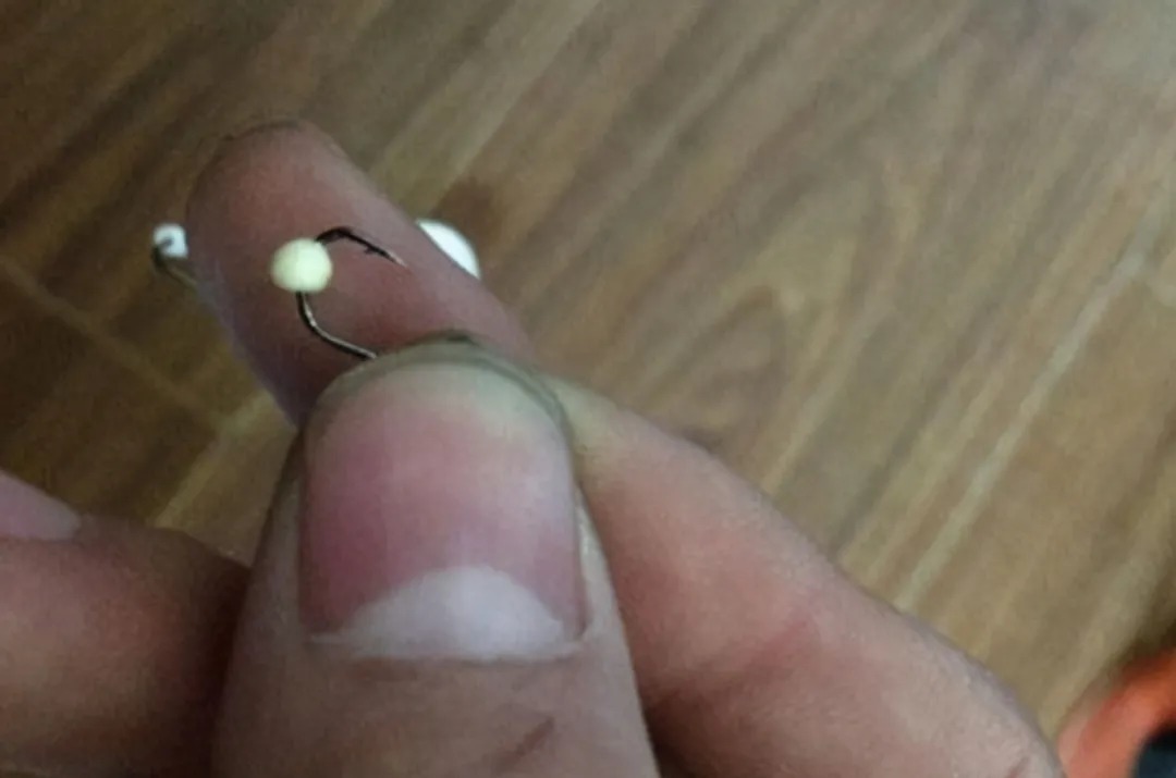 饵料|秋季,大板鲫也不爱吃饵?老钓手传授你几招,大鱼疯狂咬钩子!