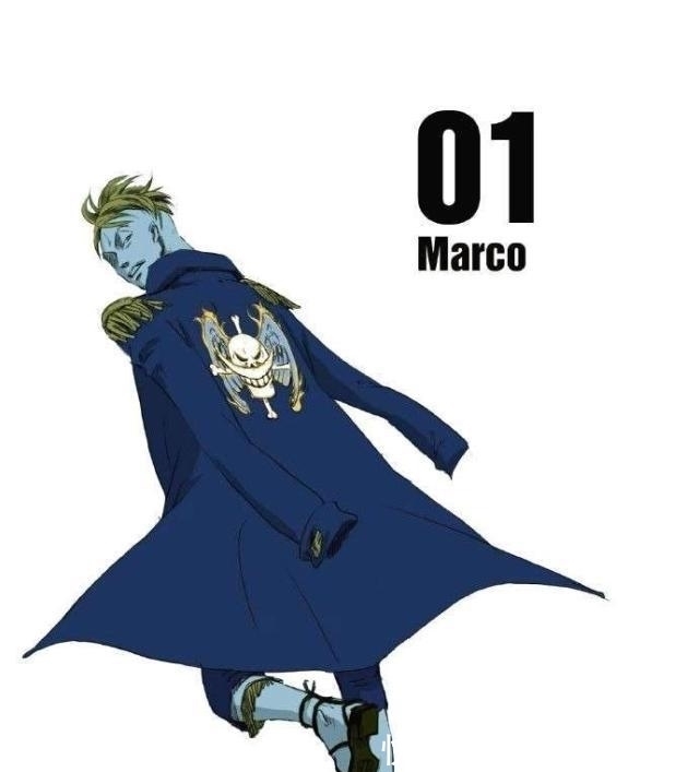 队长|海贼王:白团16位队长简介,顶上战争中放水的有几位?