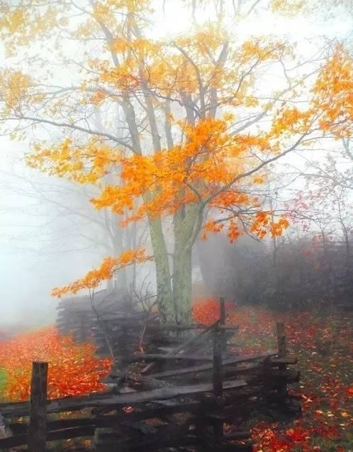 中老年人|50岁以后，不要自作多情