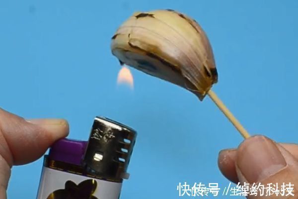 打火机|心脏不好的人，1味干果可劲吃，软化血管，护肝脏，提高免疫力！