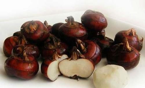 食物|会吃的人最健康,三种食物离不开,排毒养颜,越吃越年轻!