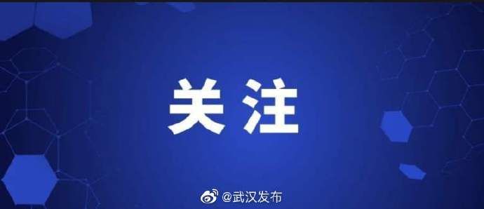 学校|期待！武汉这个区未来5年将建22所学校