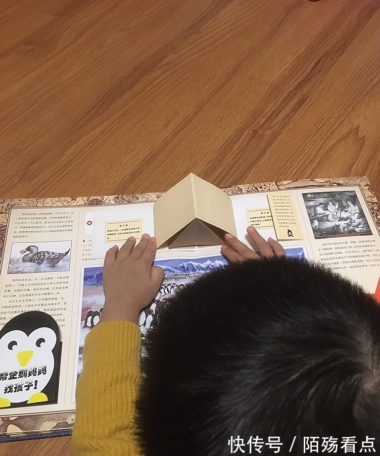 达尔文&让孩子跟达尔文一起环球旅行,感受丰富旅途,挖掘思考的力量