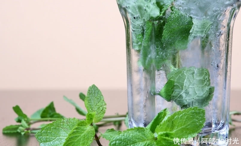  红色根茎的这野草，人称“夜息香”有极高的经济价值，或许你吃过