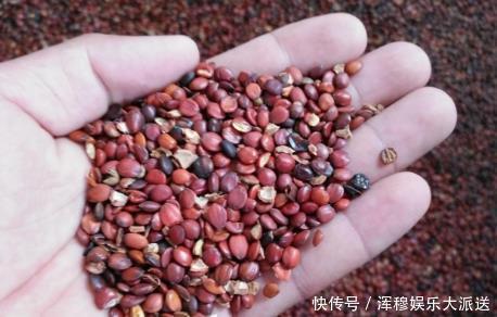 安神助眠|经常失眠怎么办这种宁心安神的食物，或会助你解决失眠！