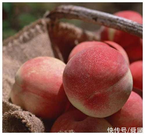 艾炷|三伏天这样用生姜，补阳气、祛湿热、缓解关节疼痛，好处多到数不清