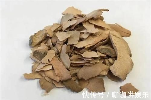 土茯苓|治痛风最有效的方子!1味小药泡茶喝,一次不到1块钱,一天即愈!