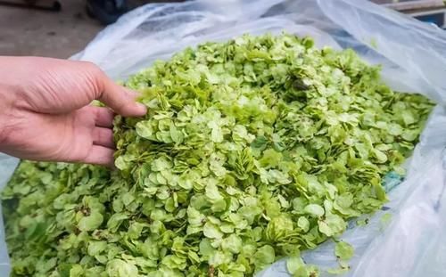 春天多吃这道蒸菜,安神助睡眠,做法简单,两天吃一次,睡觉香