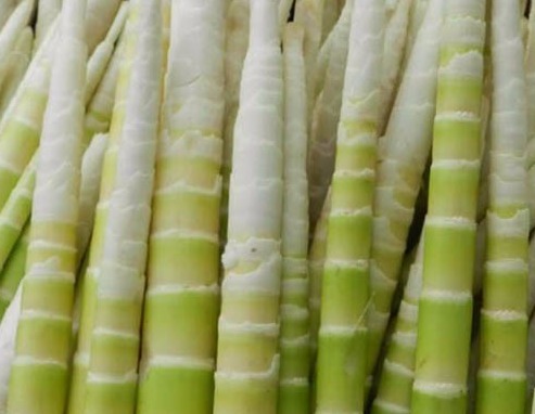 骨质疏松|竹笋营养价值高，但以下4类人不能吃，吃了就是“没病找病”！