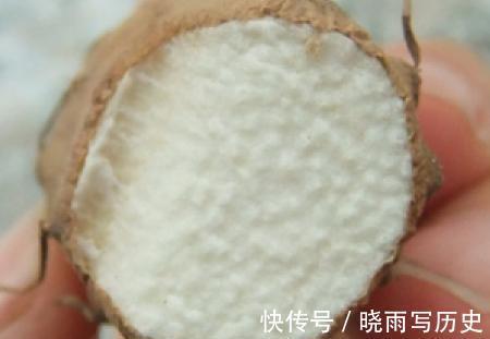 山药|被称为“养胃果”的山药,是选粗的还是细的?劝你不要大材小用