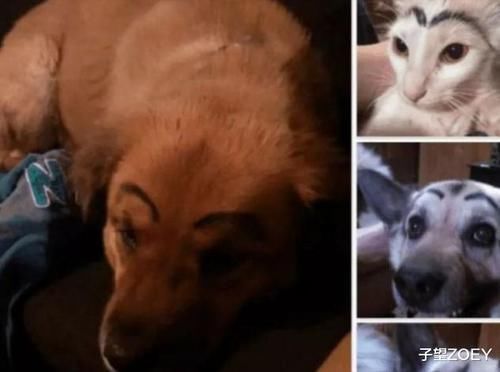 |搞笑那些年我们网购的沙雕物品，这些都有用吗