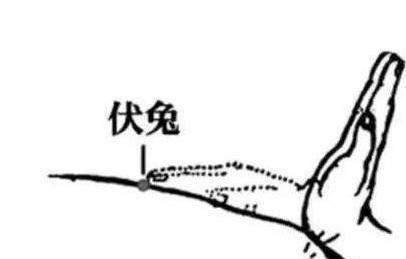 养心|养心=养命1个养心推手动作+3个护心穴位，经常做心脏越来越好