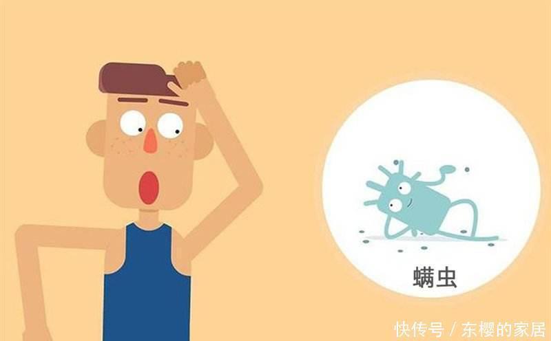 床垫|床垫用久成螨虫窝,婆婆用这个土方法立马把螨虫清干净,太聪明了
