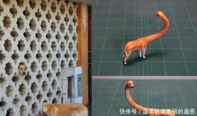 宠物|那个专注于手办狂魔的岛国小哥,如今开了微博,漫迷的评论太有趣