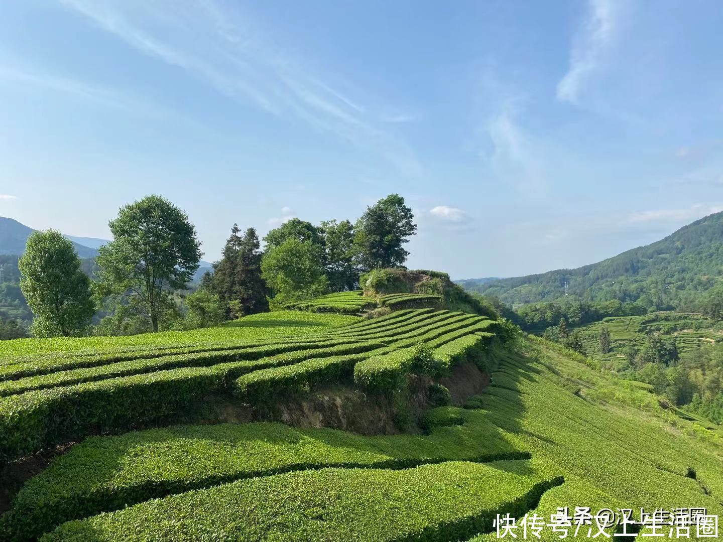 山里人家说：高山出云雾，云雾出好茶，南郑太子营有一个美丽传说