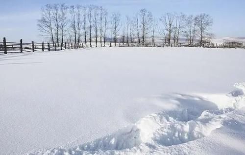 草原的雪已经下好啦，一起去达里湖冬捕，你准备好了没？