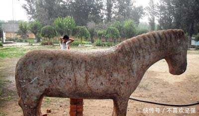解开|1977年, 专家发掘了西夏李仁孝墓, 出土两件国宝, 解开一历史迷雾