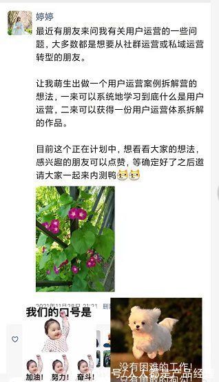 作业|如何从0开始做用户运营案例拆解营