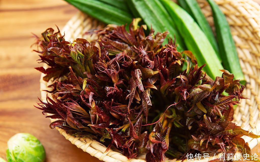 那些年吃过的野菜!农村真正的野味!