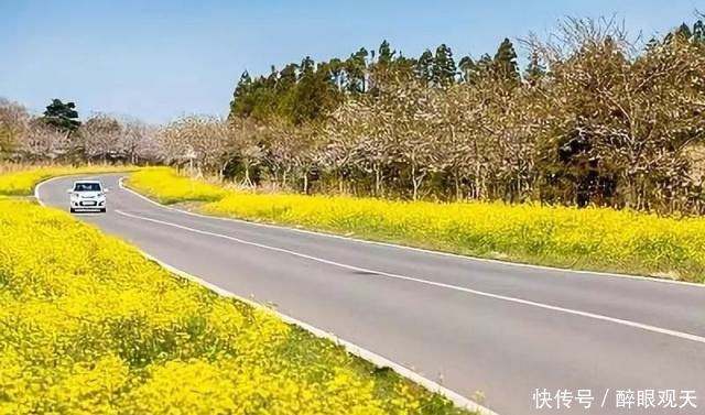  超过|三个处世之道，做到一个，你的情商就已超过90%的人