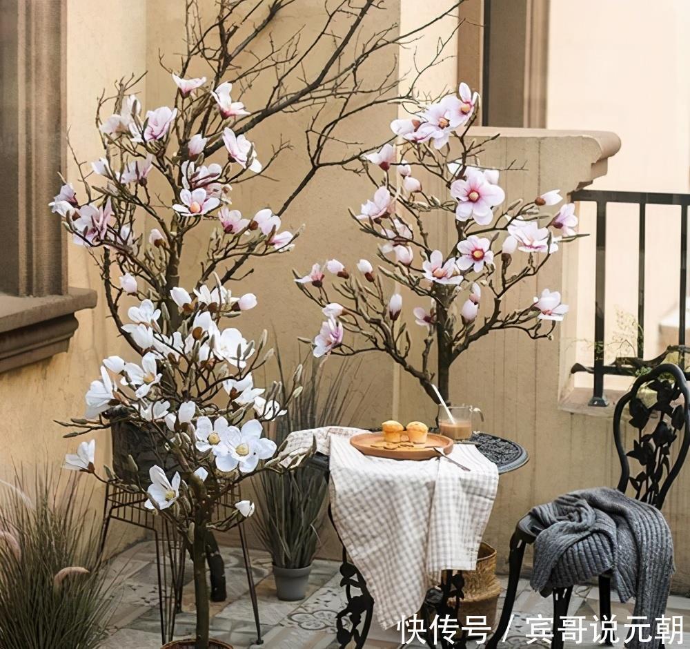 大色|4种自带“体香”的花，花大色艳香气足，阳台养一盆，人人闻香气