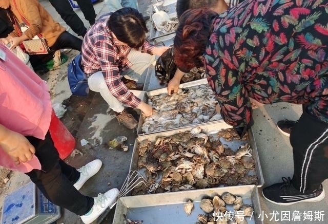 生活|这个胶东沿海小渔村,最适合美食家生活,想吃啥海鲜都有