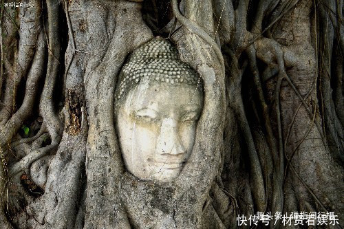 玛哈泰寺|泰国大城“低调古寺”，是昔日王城的核心，拥有“树抱佛头”奇景