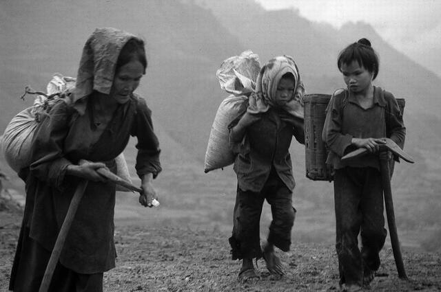 苏明娟|30年前,那个希望工程“大眼睛女孩”被国家大力培养后,现状如何?