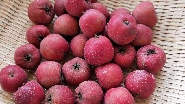 食物|8个月的胎儿没了“动静”:“祸”从口入,这3类食物孕妈不能吃