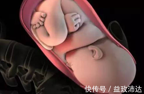 子宫|产房分娩的过程是啥?实拍图还原顺产过程,看完明白为母则刚