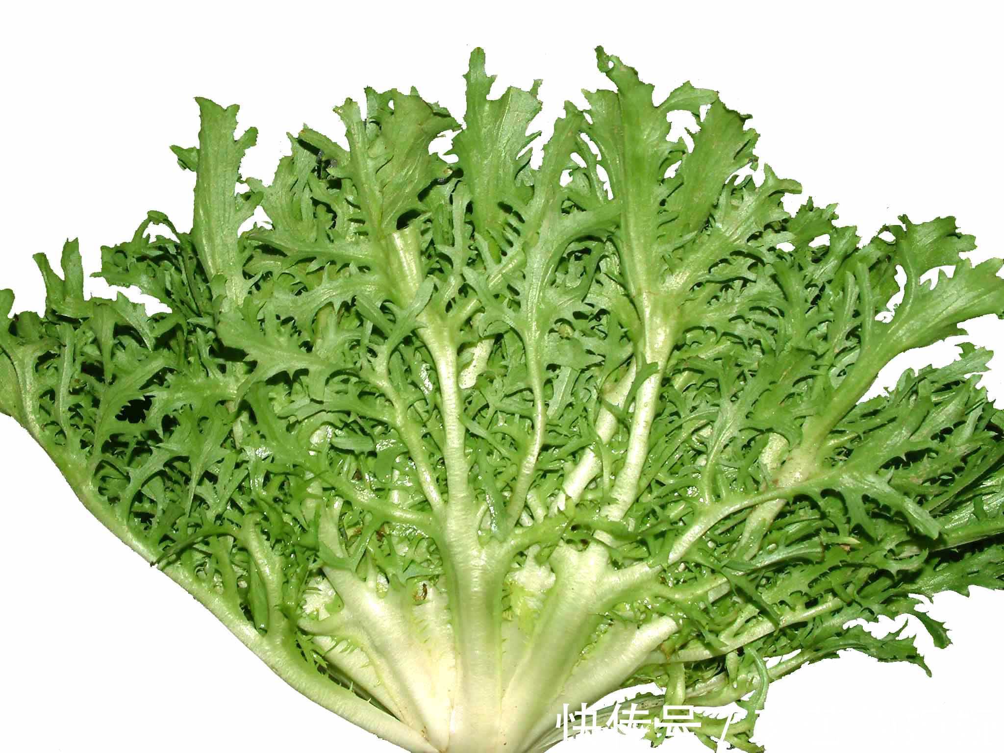 荠菜|常吃这6种野菜，不仅营养丰富、美容养颜，还能增强体质抗衰老