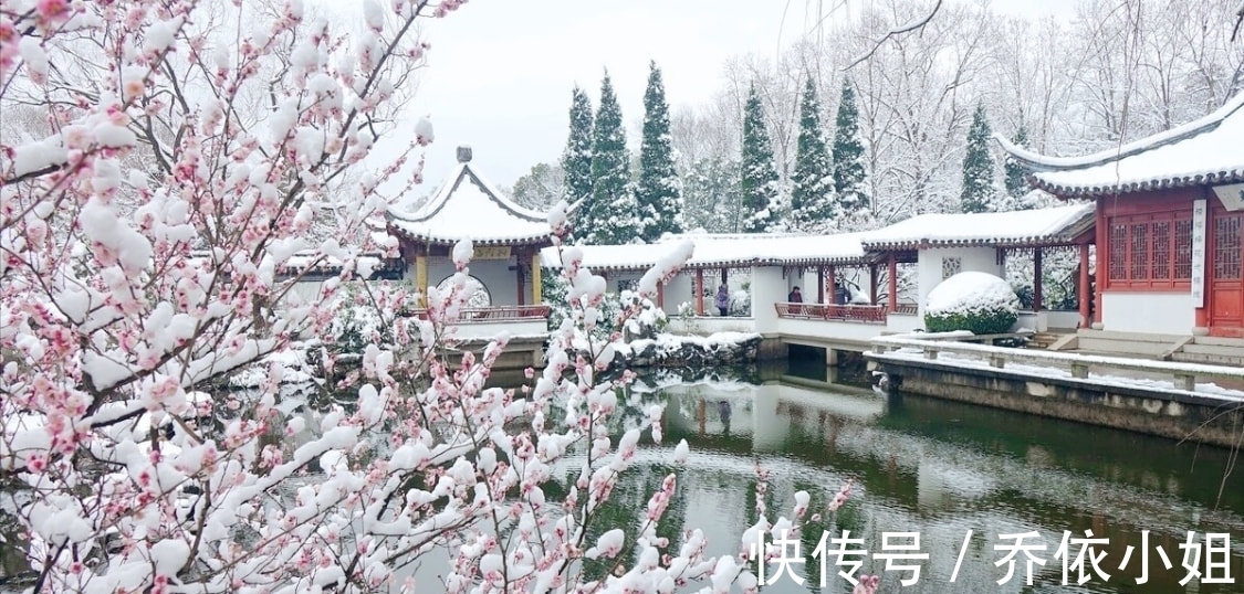 王维@雪晴天地一冰壶。杨朝英的一支小令,写出了踏雪寻梅的诗情画意