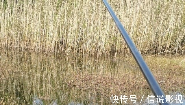 立冬后降温明显,野钓根据天气,抓住最后的“窗口期”