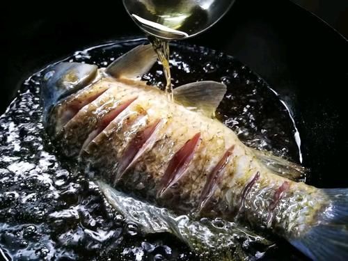 不要再用清水煮鱼了，用啤酒来代替，去腥味道好