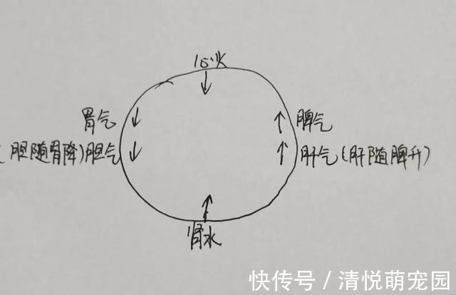 肝胆|有多少人知道自己胆经通不通？这样用手摸一摸，就知道它通不通！