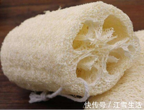 功效|农村总拿它当洗碗布,却不知“功效”堪比冬虫夏草,了解一下