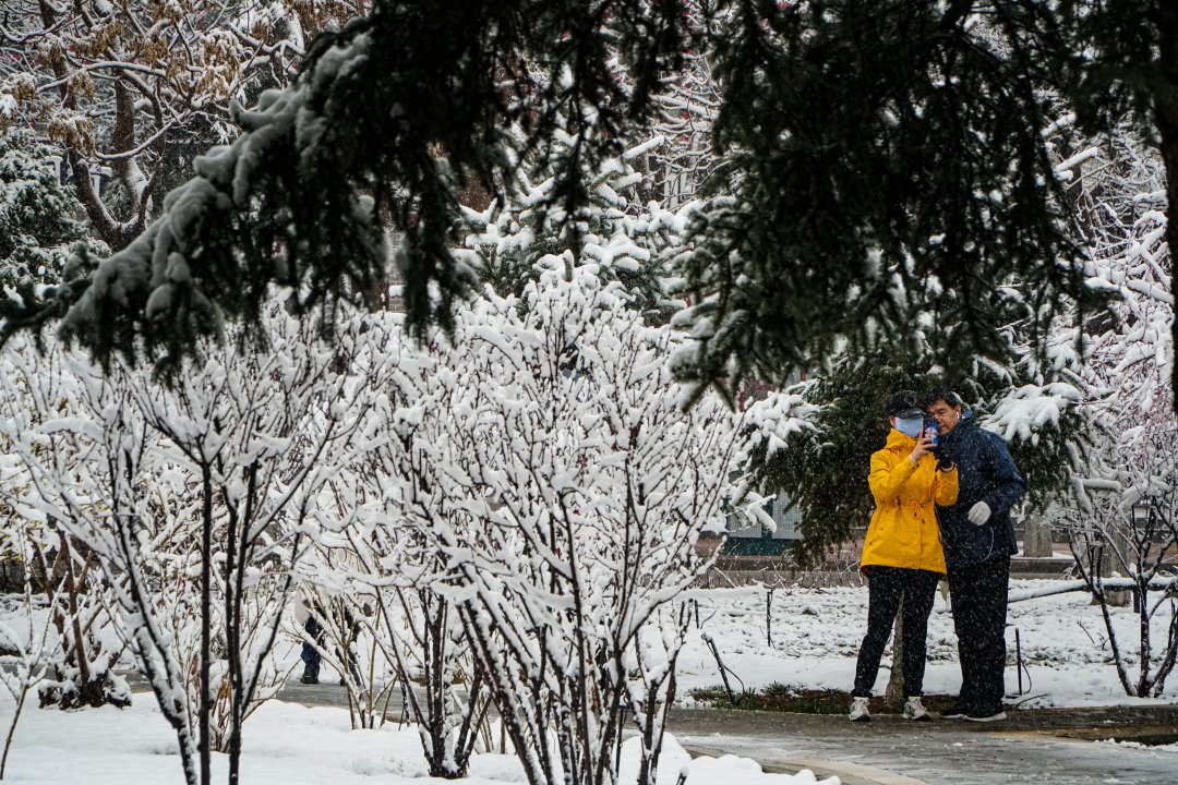 第一场雪|美不胜收！固原迎来今秋第一场雪