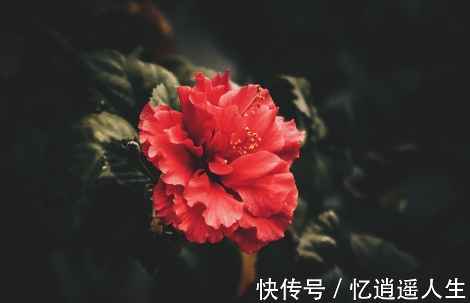 生肖牛|6月底，有缘无分，好聚好散，难忘难了，3生肖心有不甘，期盼复合