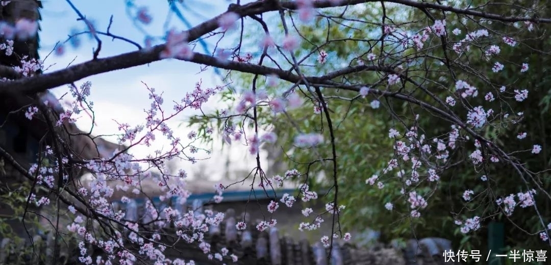 天竺寺八月十五日夜桂子|白居易死后，唐诗的最后60年