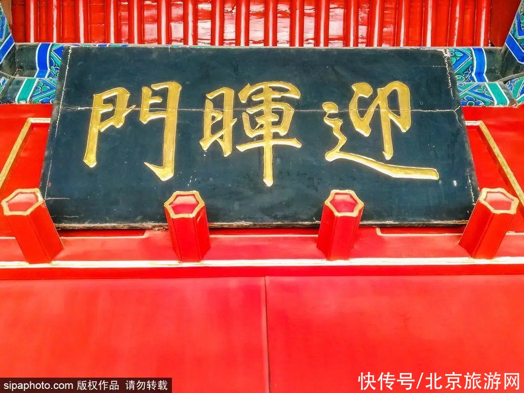 地铁4号线|太壮观了！10万尾金色锦鲤齐聚北京这座皇家园林，再现昔日御园盛景！